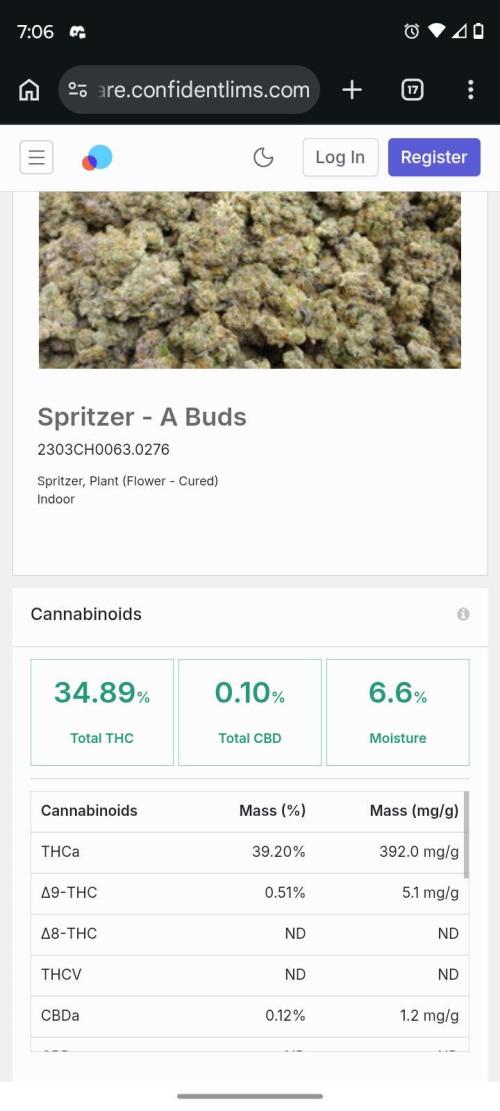 Spritzer Cannarado. Week 0