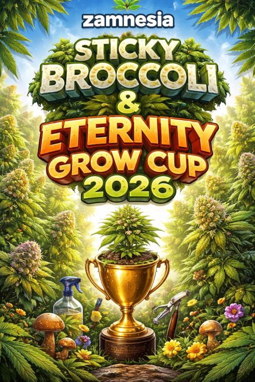 Eternity Grow Cup 2026. Week 12