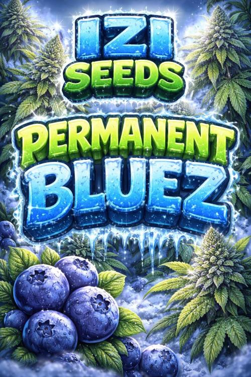 Izi Seeds- Permanent Blues. Week 12