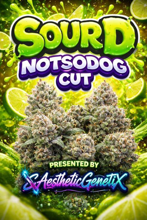 Real Deal Sour D ( notsodog cut). Week 2