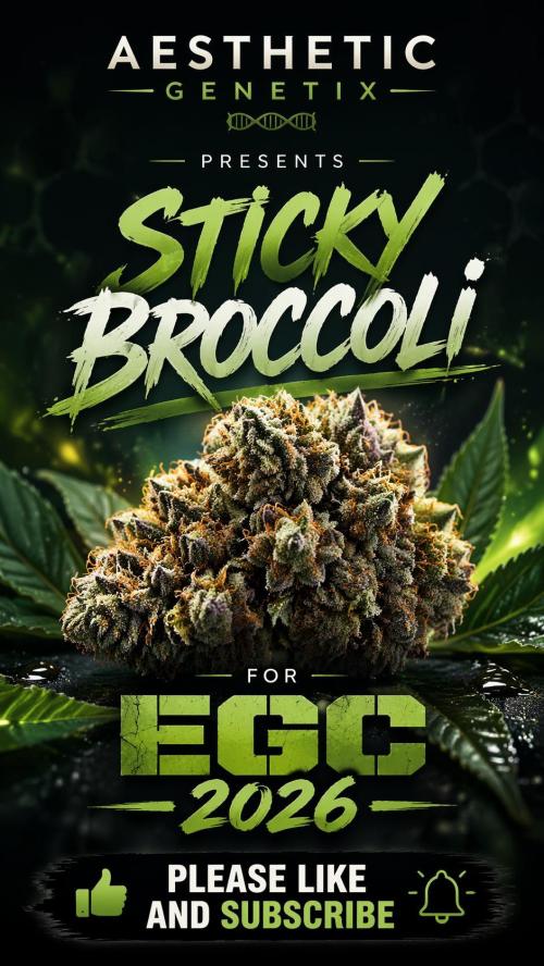 Eternity Grow Cup 2026. Week 13