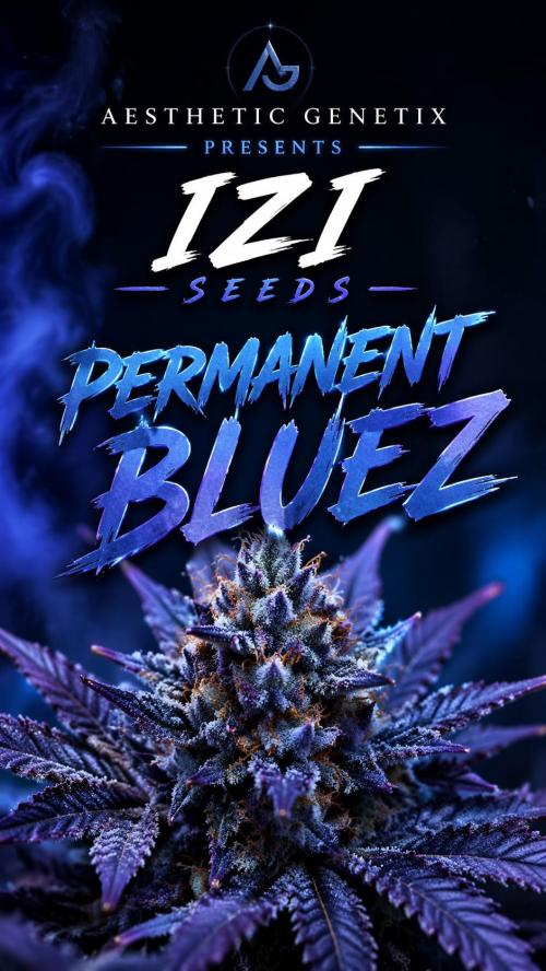 Izi Seeds- Permanent Blues. Week 13