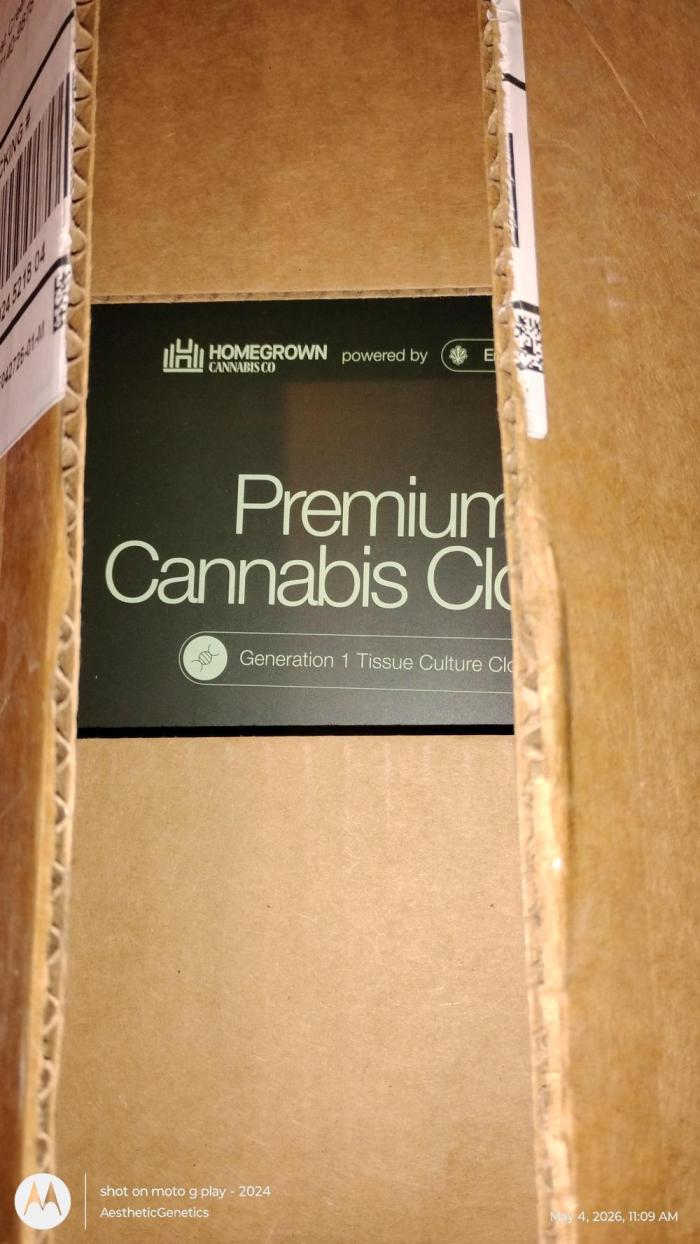 Home Grown Cannabis co sponsorship. Week 0