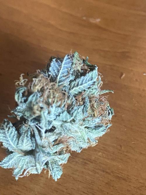 Real Deal OG Kush (PDX cut). Week 13