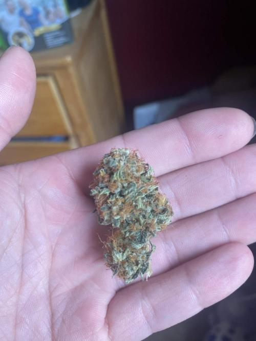 Real Deal OG Kush (PDX cut). Week 13