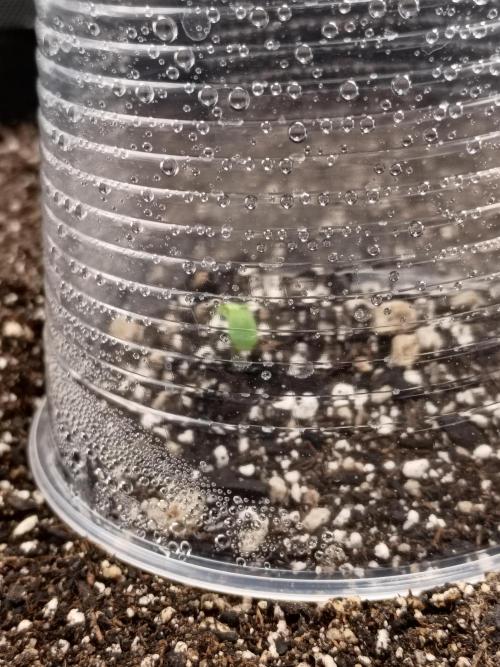 Start again. Week 1