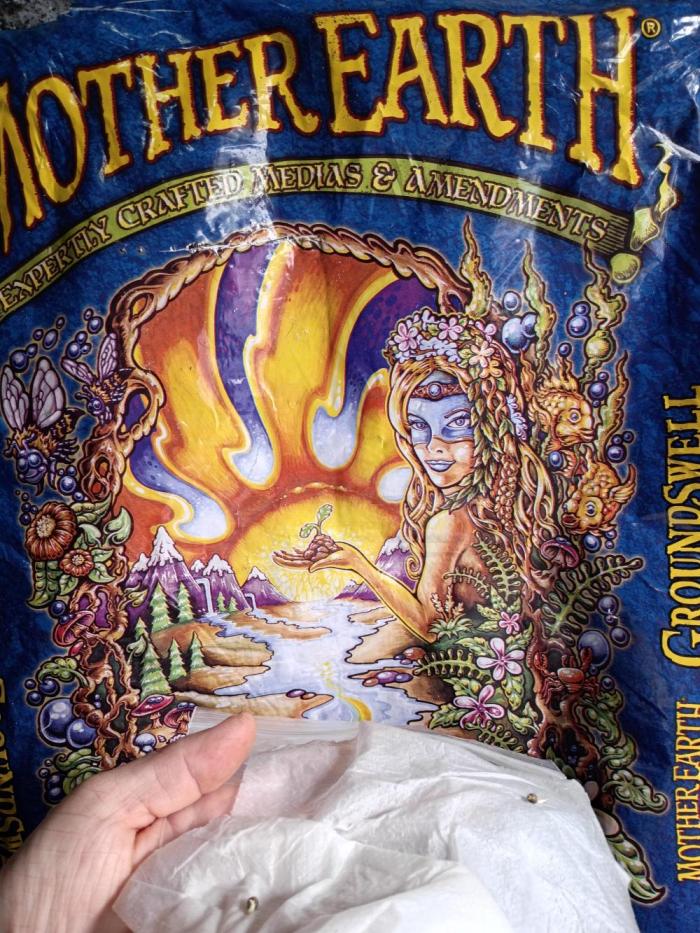 King Louis auto solocup. Week 0 - Let's see what I can do in a solocup