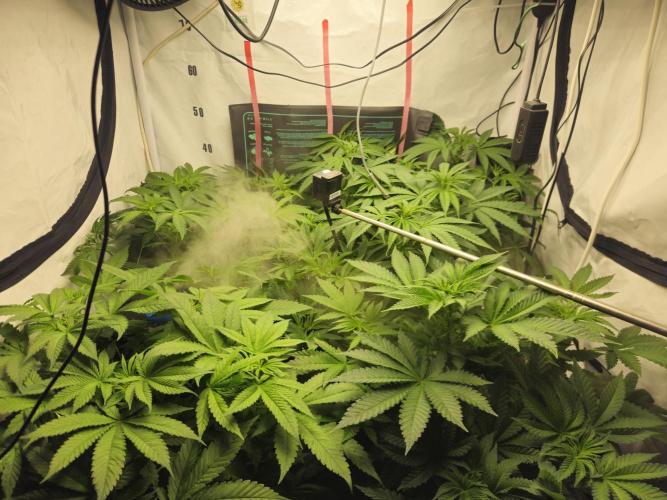 ☆☆  Jealousy & Bruce Baner ☆☆. Week 6