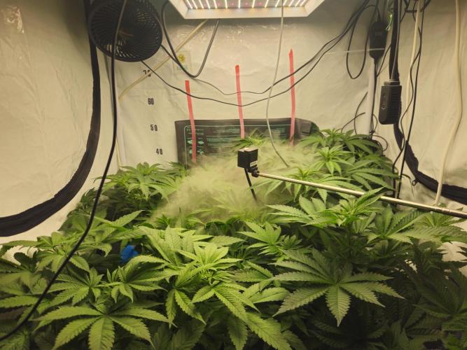 ☆☆  Jealousy & Bruce Baner ☆☆. Week 6