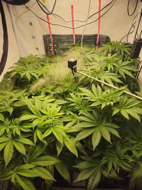 ☆☆  Jealousy & Bruce Baner ☆☆. Week 6