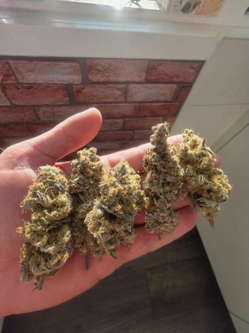 ☆☆  Jealousy & Bruce Baner ☆☆. Week 15