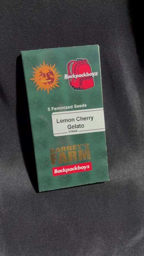 Lemon Cherry Gelato