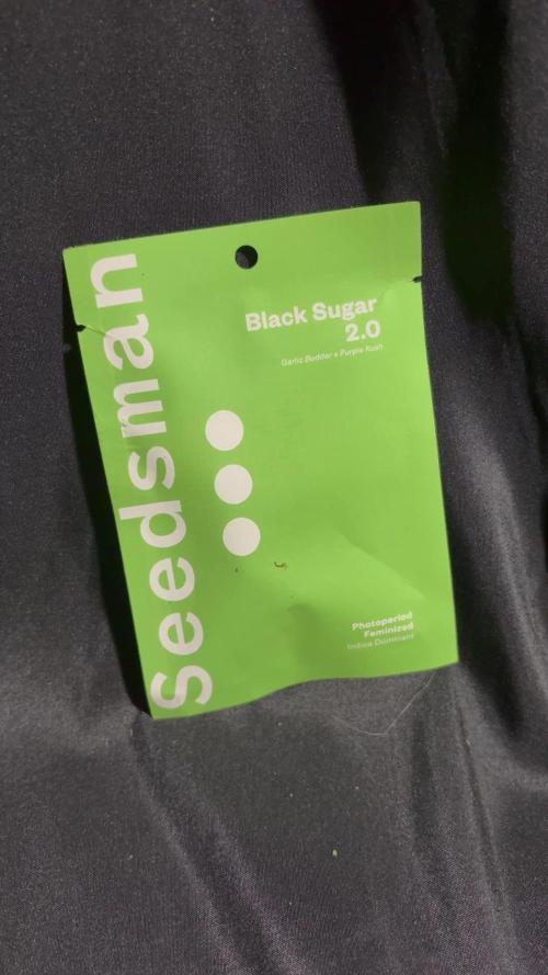 Black Sugar 2.0