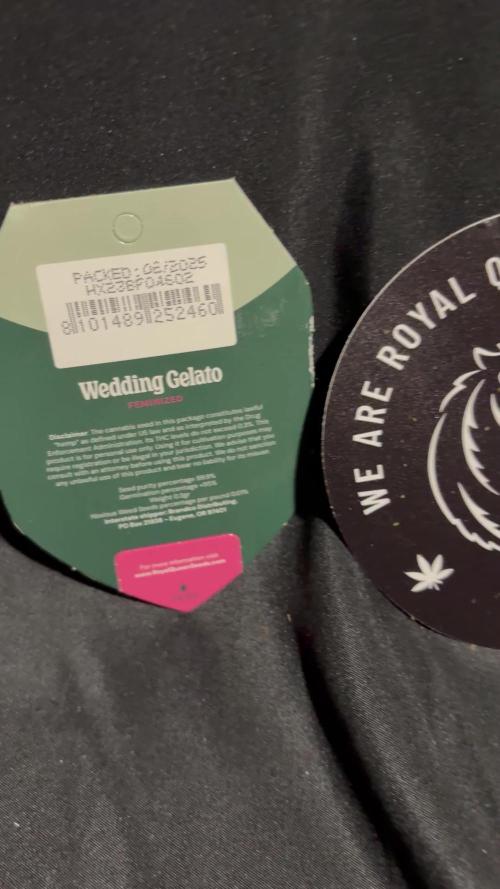 Wedding Gelato