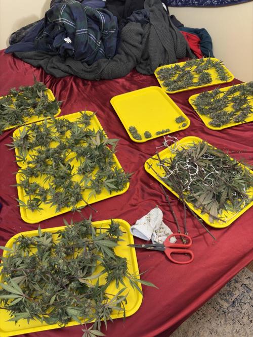 Black Sugar 2.0. Week 17