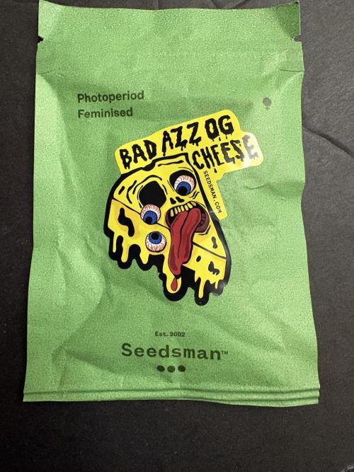 Bad azz og cheese. Week 0