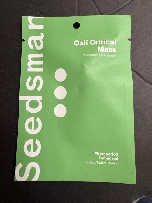 Cali critical mass. Week 0