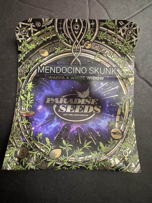 Mendocino skunk. Week 0