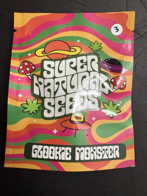 Glookie monster. Week 0