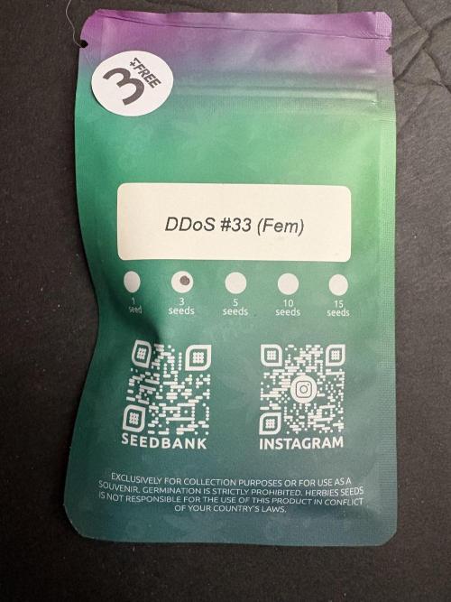 Do-si-dos #33. Week 0