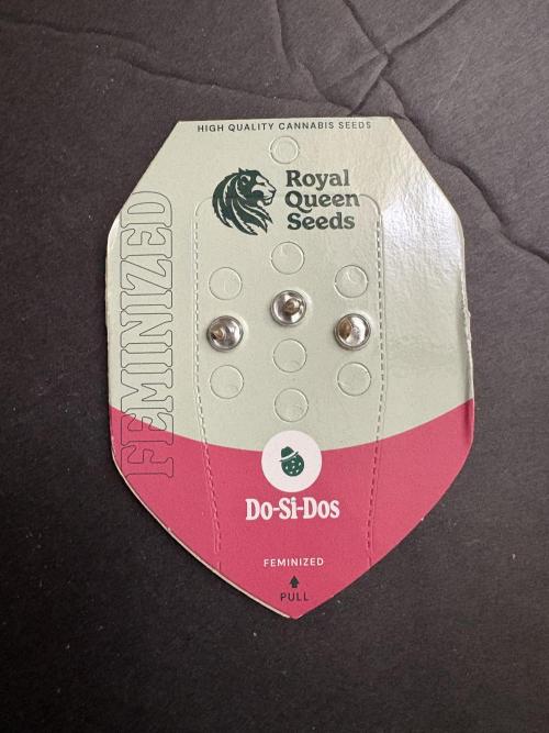 Do-si-dos Rqs. Week 0