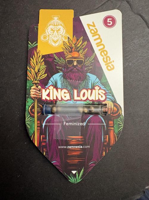 King Louis. Week 0