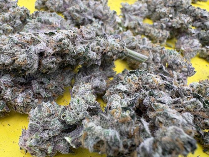 Lemon Cherry Gelato. Week 17