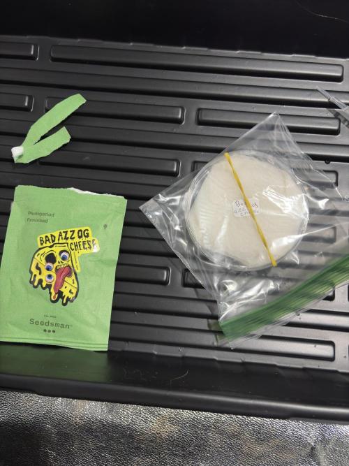 Bad azz og cheese. Week 1