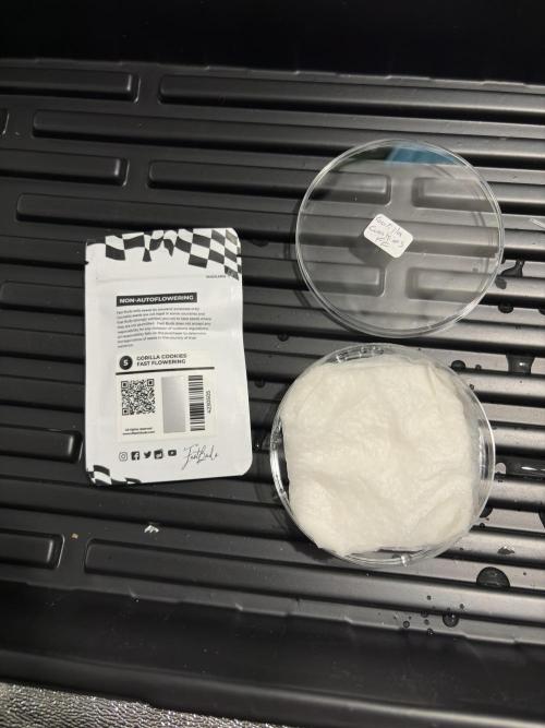 Gorilla cookies fast flower. Week 1