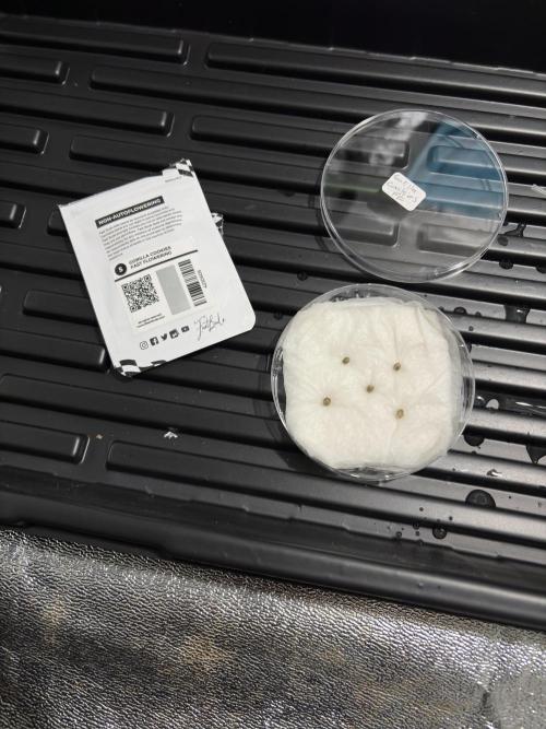 Gorilla cookies fast flower. Week 1