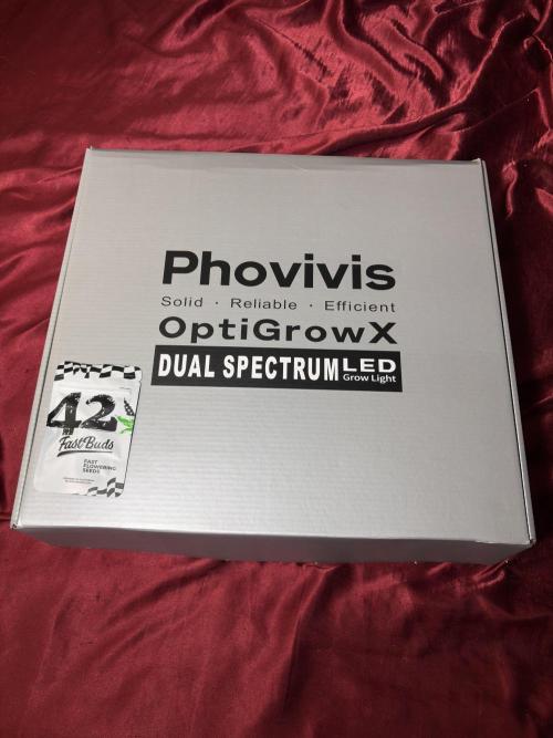 Phovivis OptiGrowx240 TropicanacookiesFF. Week 30
