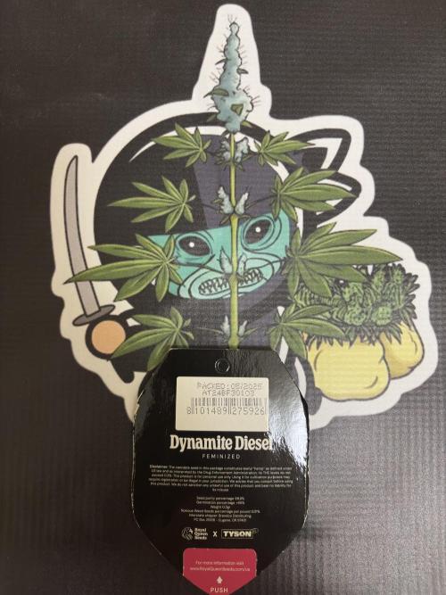 Dynamite diesel. Week 30
