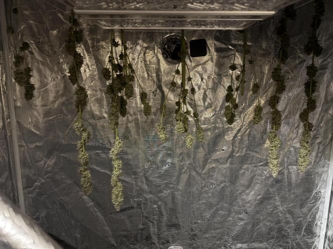 Do-si-dos Rqs. Week 12