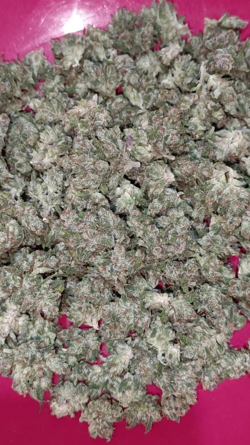 Dale fast buds