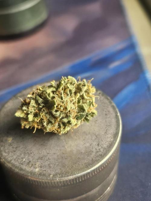 Lemon Mandarin. Week 20