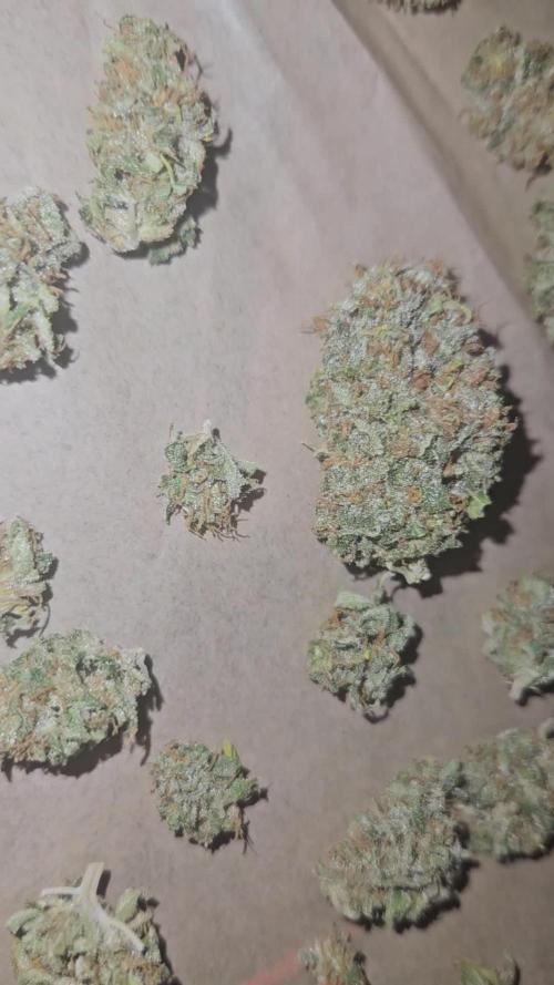 Lemon Mandarin 🍋🍊