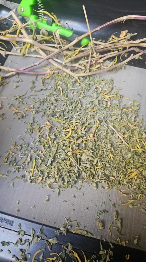 Lemon Mandarin 🍋🍊