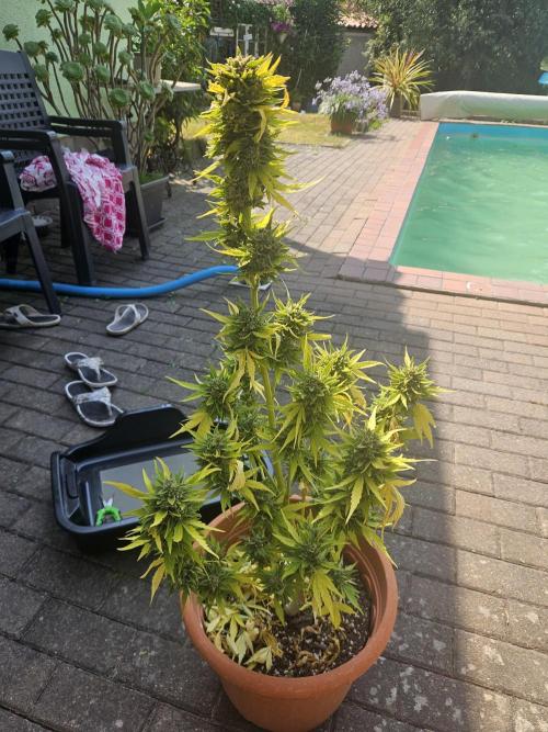 Outdoor Season. Week 13