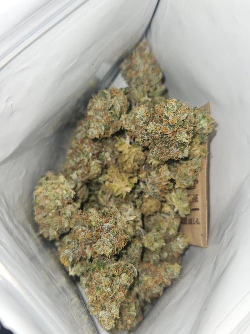 Mystery Phenos. Week 21