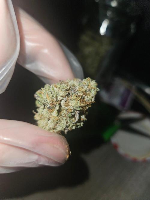 Gary Sherbet. Week 17