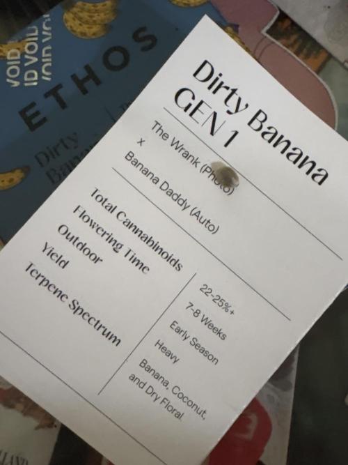 I'm back xxx Dirty Banana G1. Week 0 - 1/5