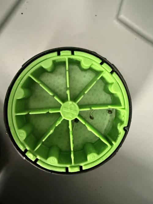 Bear Candy. Week 0 - Less then 24hrs got long tails 