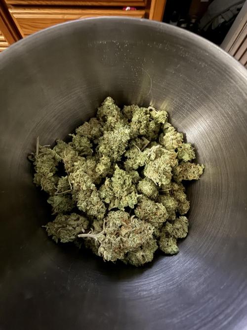 Auto Biscotti. Week 14
