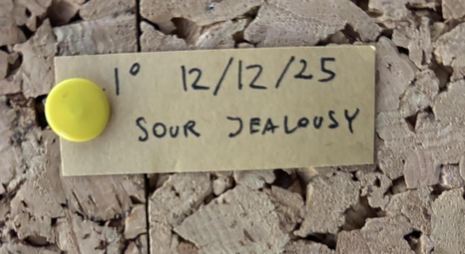 Sour Jealousy Auto. Week 0