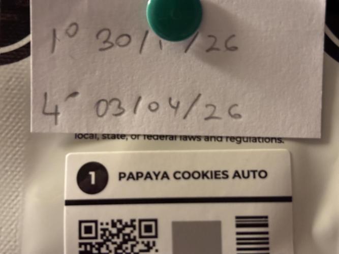 Papaya Cookies Auto. Week 0