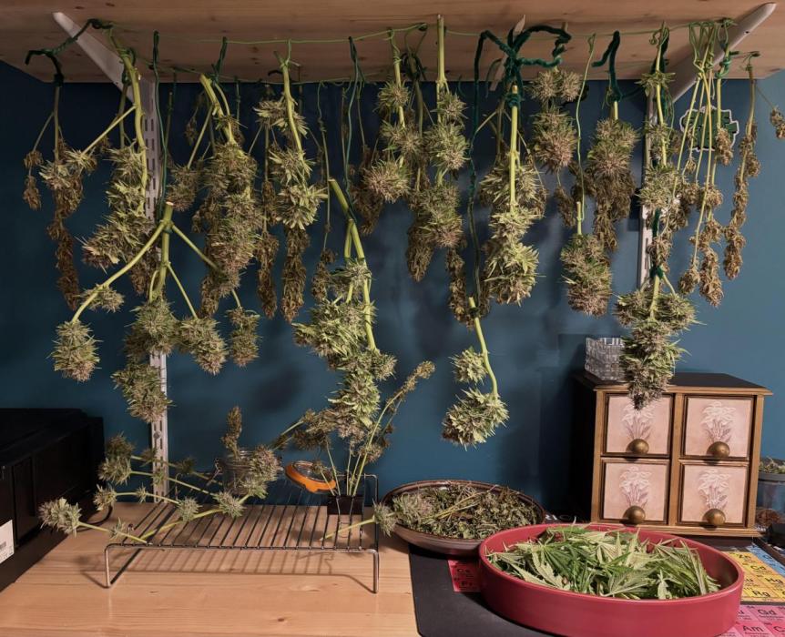 Banana Purple Punch. Week 9 - Such an installation__the front top line and bottom left belong to BPP