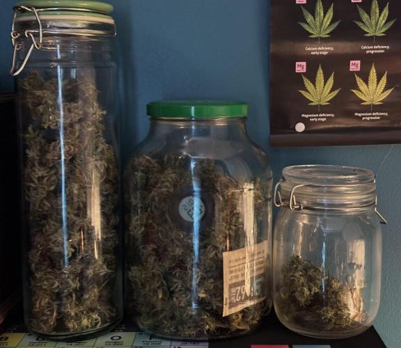 Original Moby Dick Auto. Week 10 - 87g