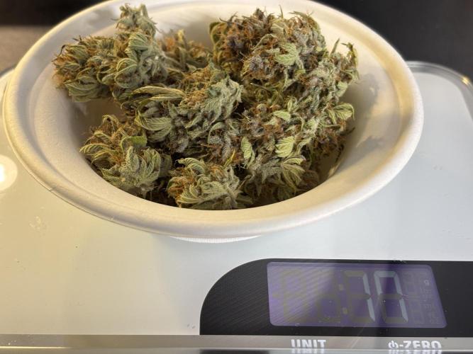 Banana Purple Punch. Week 9