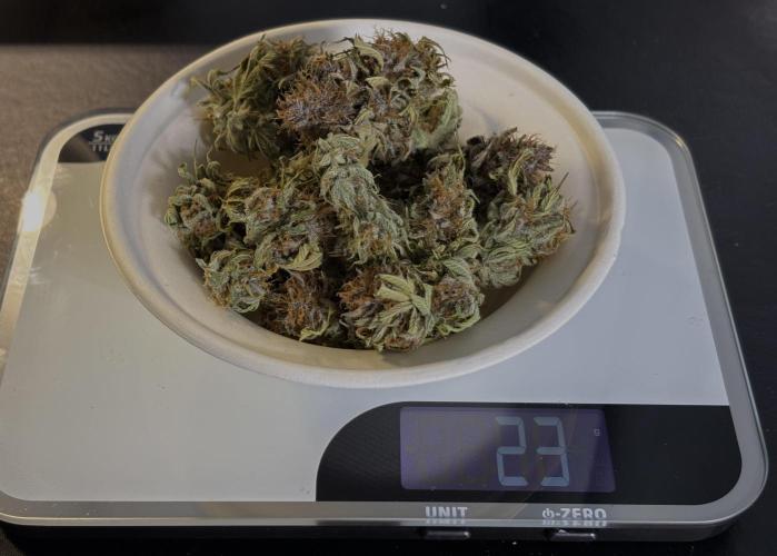 Banana Purple Punch. Week 9