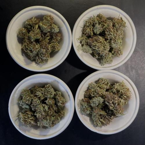 Banana Purple Punch. Week 9